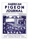 Magazine Cover